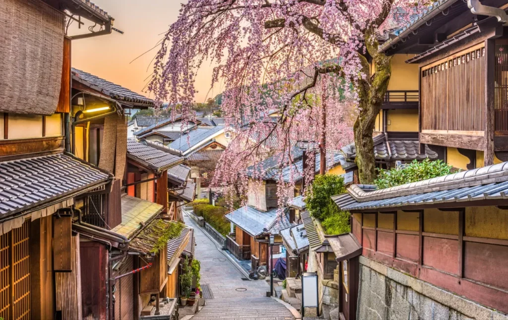 Kyoto: Vẻ đẹp cổ kính và nhịp sống chậm rãi